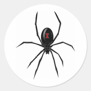 Sticker Rond Spider WIdow noir