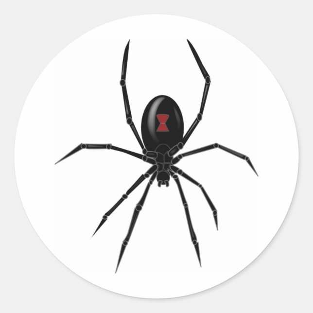 Sticker Rond Spider WIdow noir (Devant)