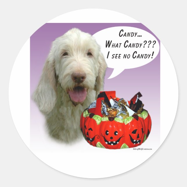 Sticker Rond Spinone Italiano Halloween Candy (Devant)