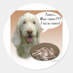 Sticker Rond Spinone Italiano Turquie