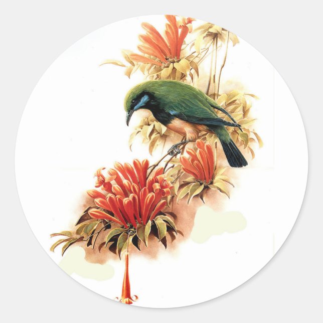 Sticker Rond Splendeur tropicale (Devant)