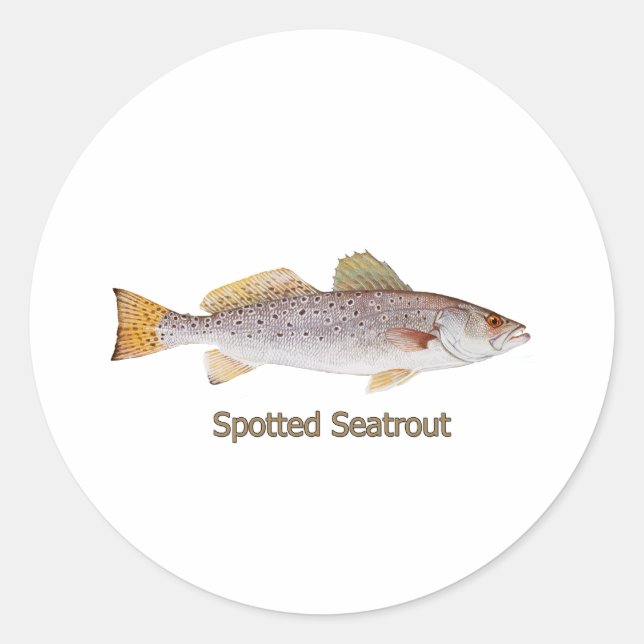 Sticker Rond Spotted Seatrout (titre) (Devant)