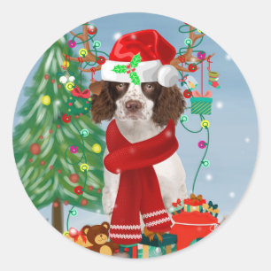 Sticker Rond Springer anglais Spaniel chien avec cadeaux de Noë