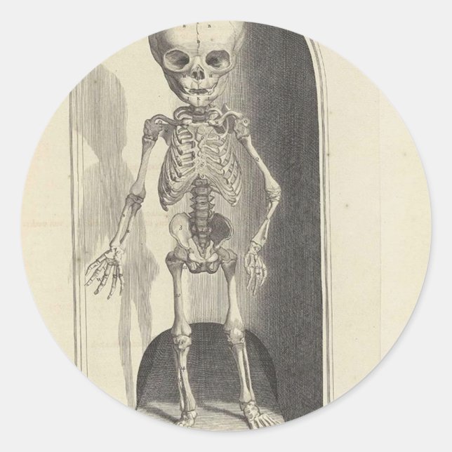 Sticker Rond Squelette enfant (Devant)