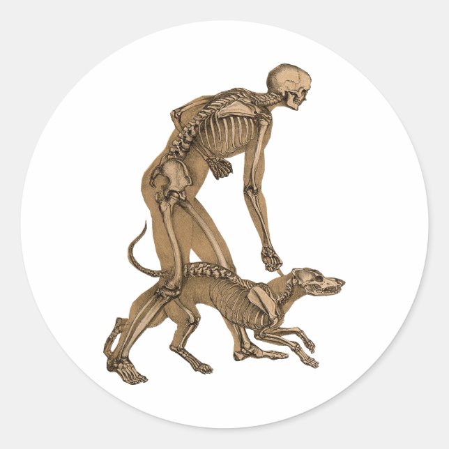 Sticker Rond squelette homme et chien animal humain anatomie ar (Devant)