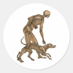Sticker Rond squelette homme et chien animal humain anatomie ar