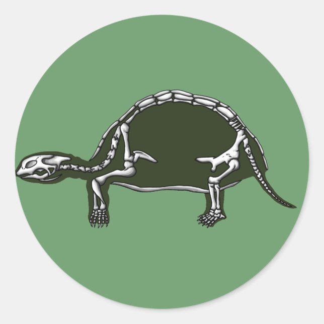 Sticker Rond squelette tortue (Devant)