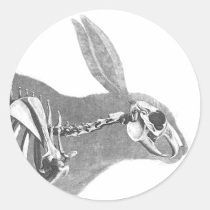Sticker Rond Squelette vintage effrayant