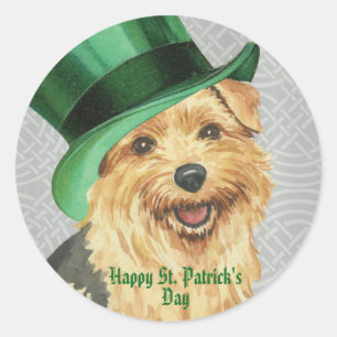 Sticker Rond St. Patrick's Day Norfolk Terrier Classic Round St