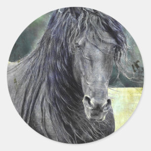 Sticker Rond Stallion friésienne