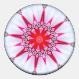 Sticker Rond Star de Hope Mandala