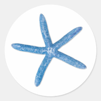 Sticker Rond Starfish bleu