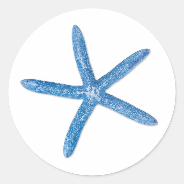 Sticker Rond Starfish bleu (Devant)