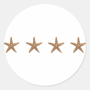 Sticker Rond Starfish - Northern Sea Star