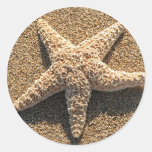 Sticker Rond Starfish sur la plage