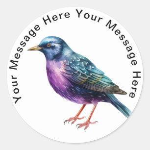Sticker Rond Starling européen