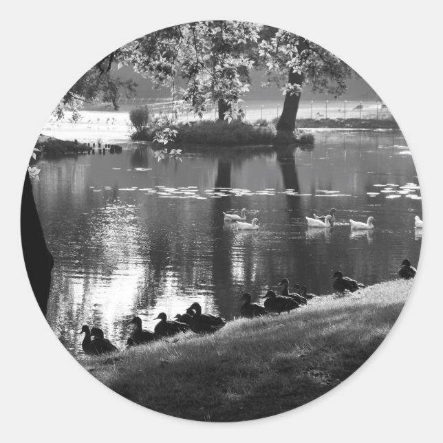Sticker Rond Stcnm Park Life (Devant)