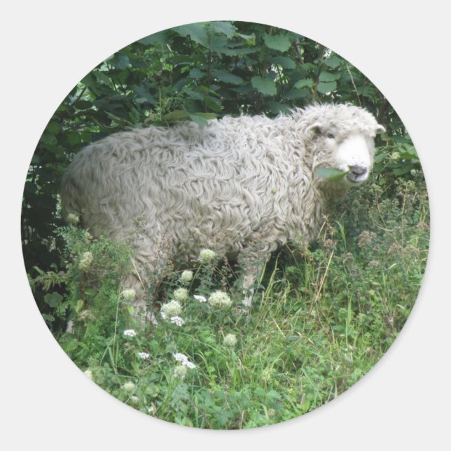 Sticker Rond Stick mignon blanc en bouillie Manger (Devant)