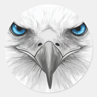 Sticker Rond Sticker. Eyes and beak. A stern and serious look.