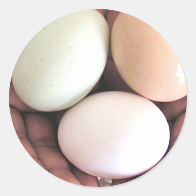 Sticker Rond Sticker, Oeufs imbriqués dans les mains, Photo Art (Devant)