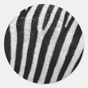 Sticker Rond Stripes de cheveux Zèbre noir et blanc