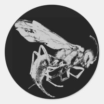 Style minimaliste noir et blanc Insectes Bugs Bees