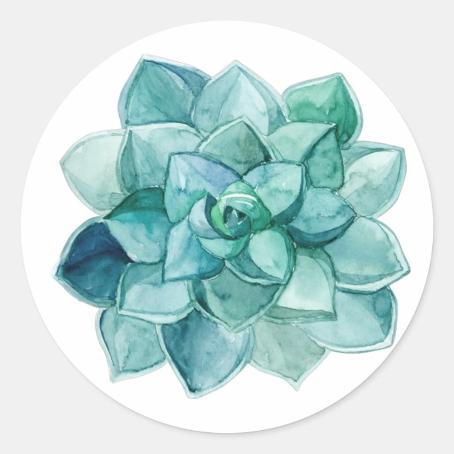 Sticker Rond Succulent dans l'aquarelle (Devant)