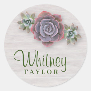 Sticker Rond Succulents rustiques
