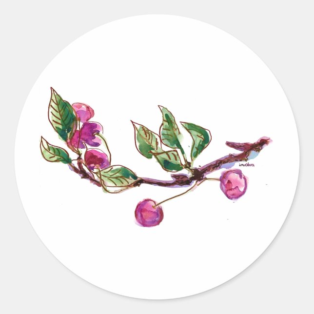 Sticker Rond Succursale de cerise (Devant)