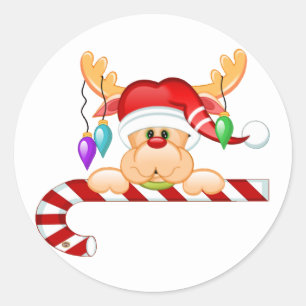 Sticker Rond Sucre de canne Rudy