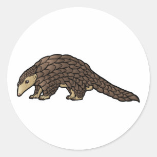 Sticker Rond Sunda Pangolin