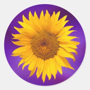 Sticker Rond Sunflower Elégant Violet Mariage Favoriser