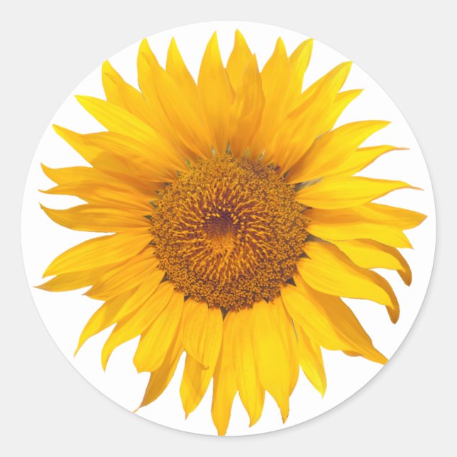 Sticker Rond Sunflower Rustique Floral Wedding Favoriser (Devant)