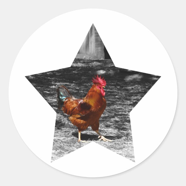 Sticker Rond Super étoile poulet (Devant)