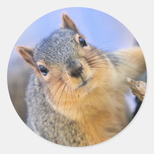Sticker Rond Super mignon (Devant)