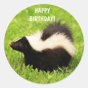 Sticker Rond Super mignonne Skunk Anniversaire