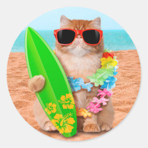 Autocollants Stickers Hawaii Surf Zazzle Fr