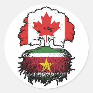 Sticker Rond Suriname Surinamais Canadian Canada Tree Roots