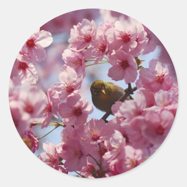 Sticker Rond surprise ! (Devant)