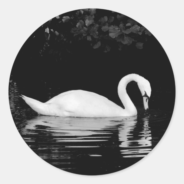 Sticker Rond Swan, Roath Park, Cardiff. (Devant)