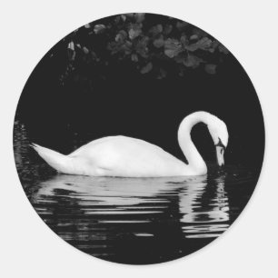 Sticker Rond Swan, Roath Park, Cardiff.