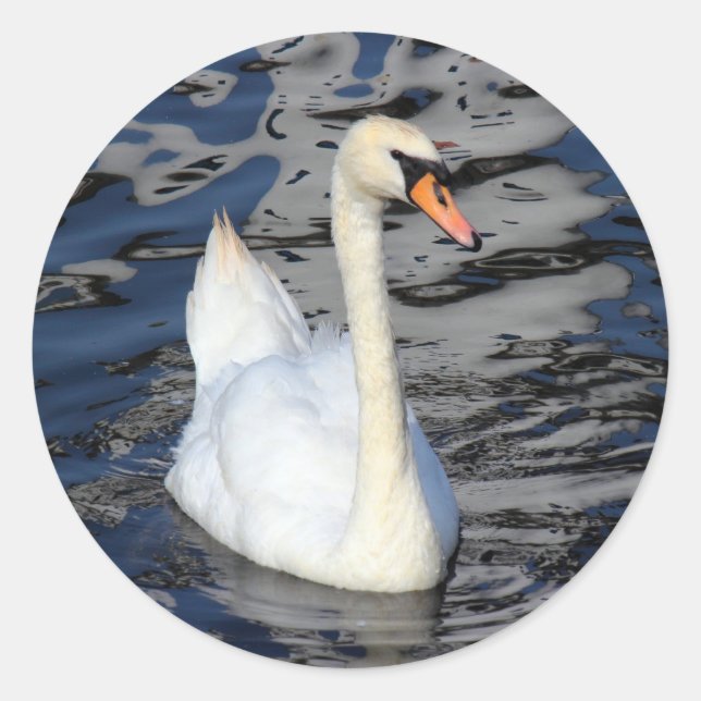Sticker Rond Swan sur un lac (Devant)
