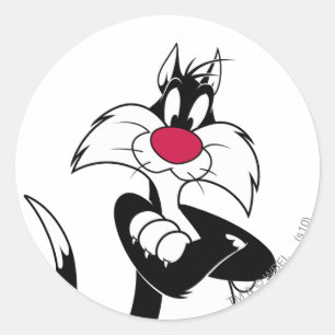 Sticker Rond SYLVESTER™ Nez Rouge