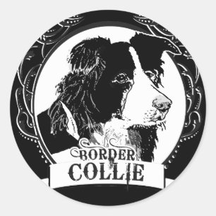 Sticker Rond T-shirt Collie Bordure