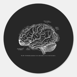Sticker Rond T-shirt vintage anatomie du cerveau humain