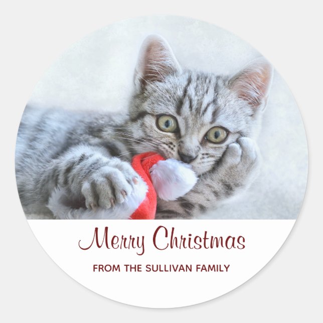 Sticker Rond Tabby gris mou Chat avec Noël Casquette (Devant)