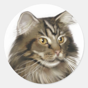 Sticker Rond Tabby noir Maine Coon Cat