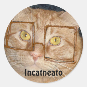 Sticker Rond Tabby Orange Chat/Humour Incognito