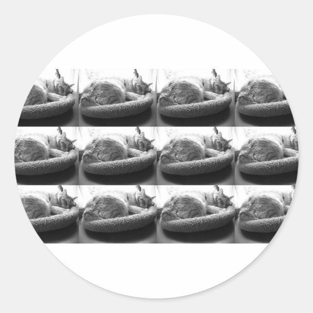 Sticker Rond Tabby orange dormant Chat/Photo noir et blanc (Devant)