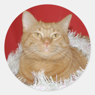 Sticker Rond Tabby orange Noël